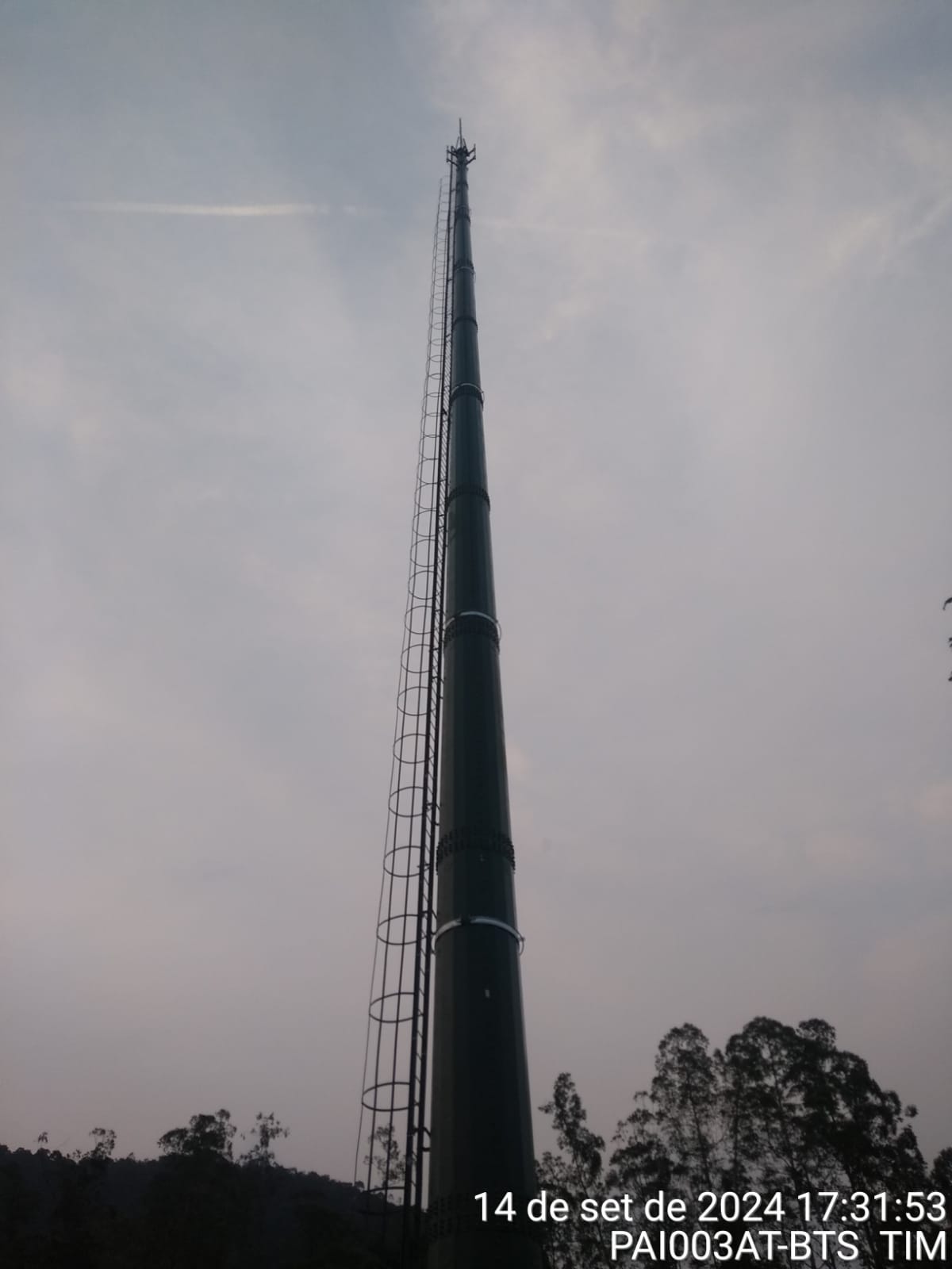 TORRE INTEIRA